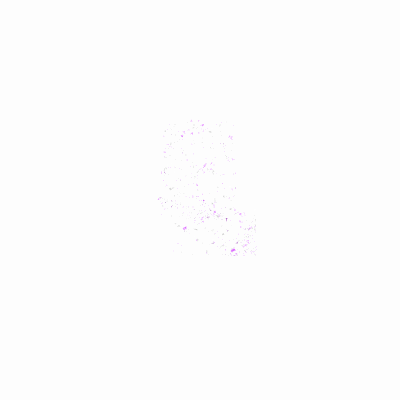 Export Image