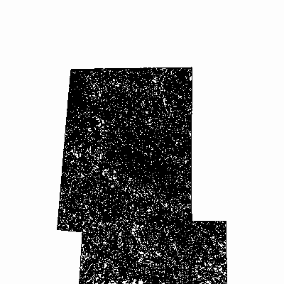 Export Image